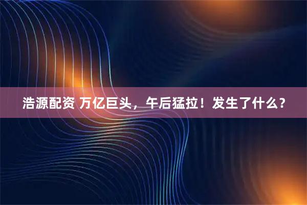 浩源配资 万亿巨头，午后猛拉！发生了什么？